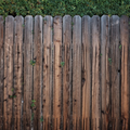 Weathered wooden fence with vertical planks and a few green vines peeking through gaps