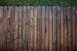 Weathered wooden fence with vertical slats, topped by green foliage.