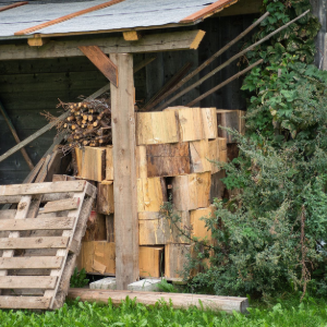 Stacked firewood under a shed beside a wooden pallet and green shrubs.