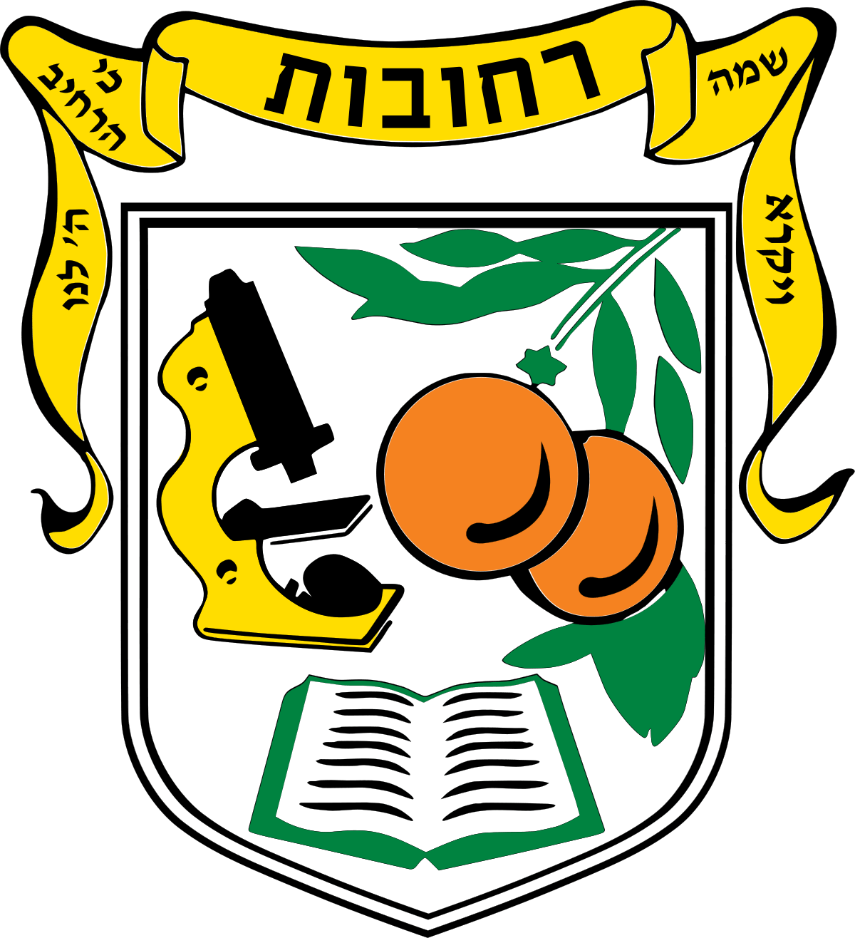 טכנאי מחשבים ברחובות