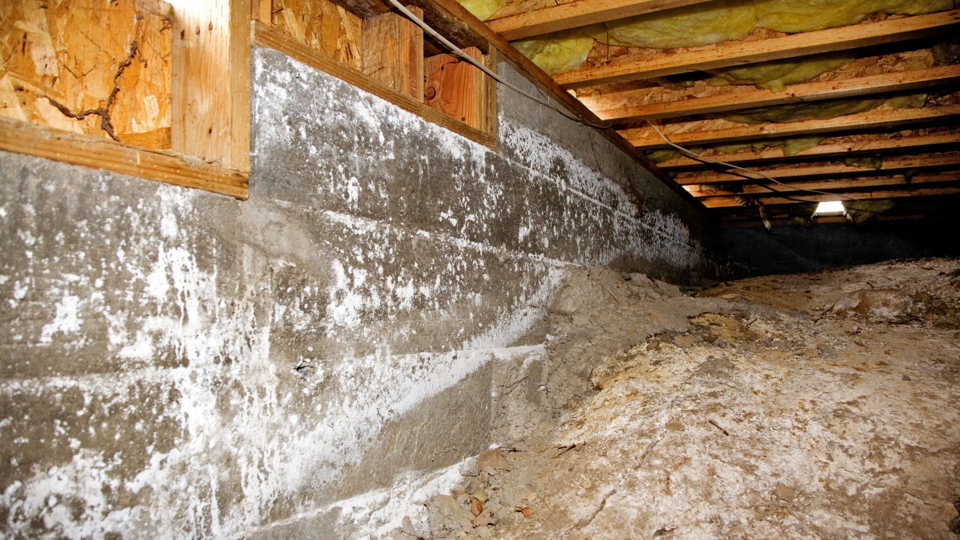 crawl-space