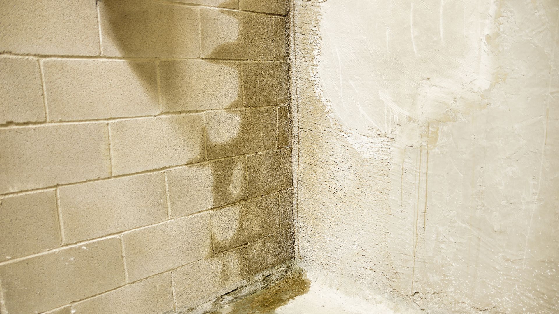 leaky-foundation