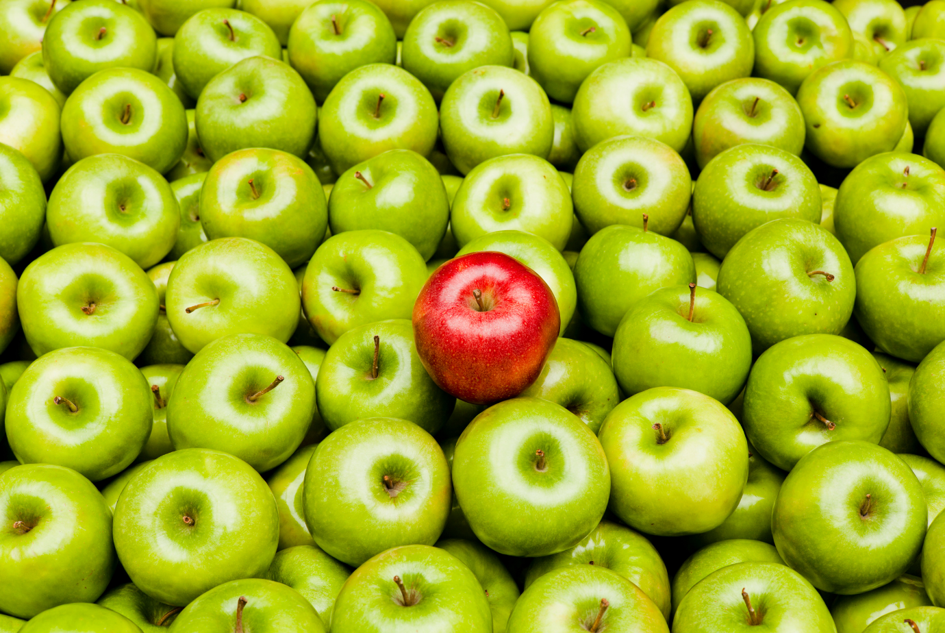 Coaching is personalised to you