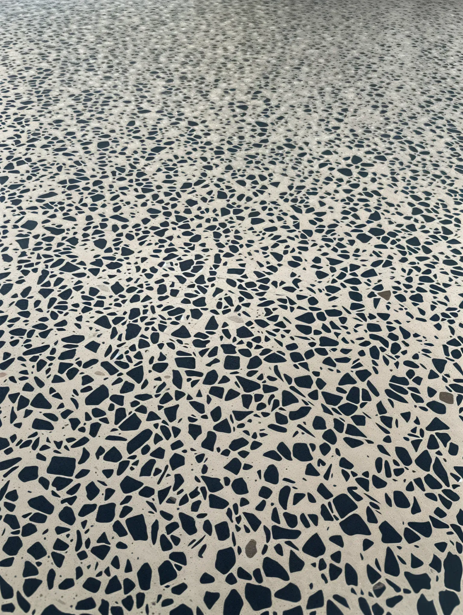 Polished Terrazzo Floor in Modern Lobby With Curved Staircase โ Showcase Concrete & Polishing in Moore Park Beach, QLD