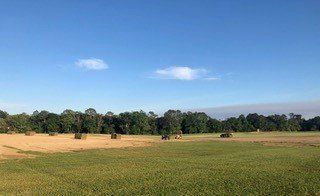 Lawn Maintenance | Grand Bay, AL | Driskell Turf Farm