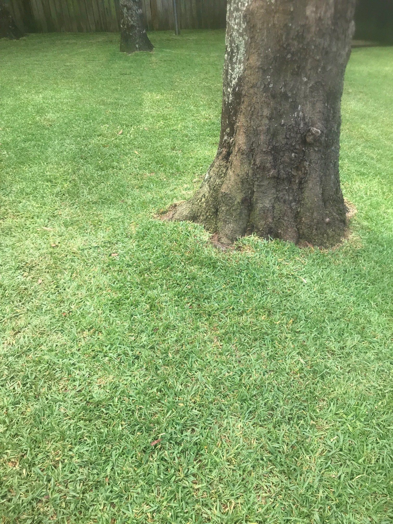 New Sod Installed | Grand Bay, AL | Driskell Turf Farm