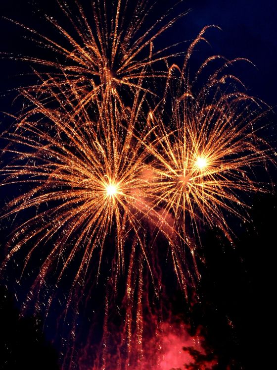 A fireworks display is going off in the night sky