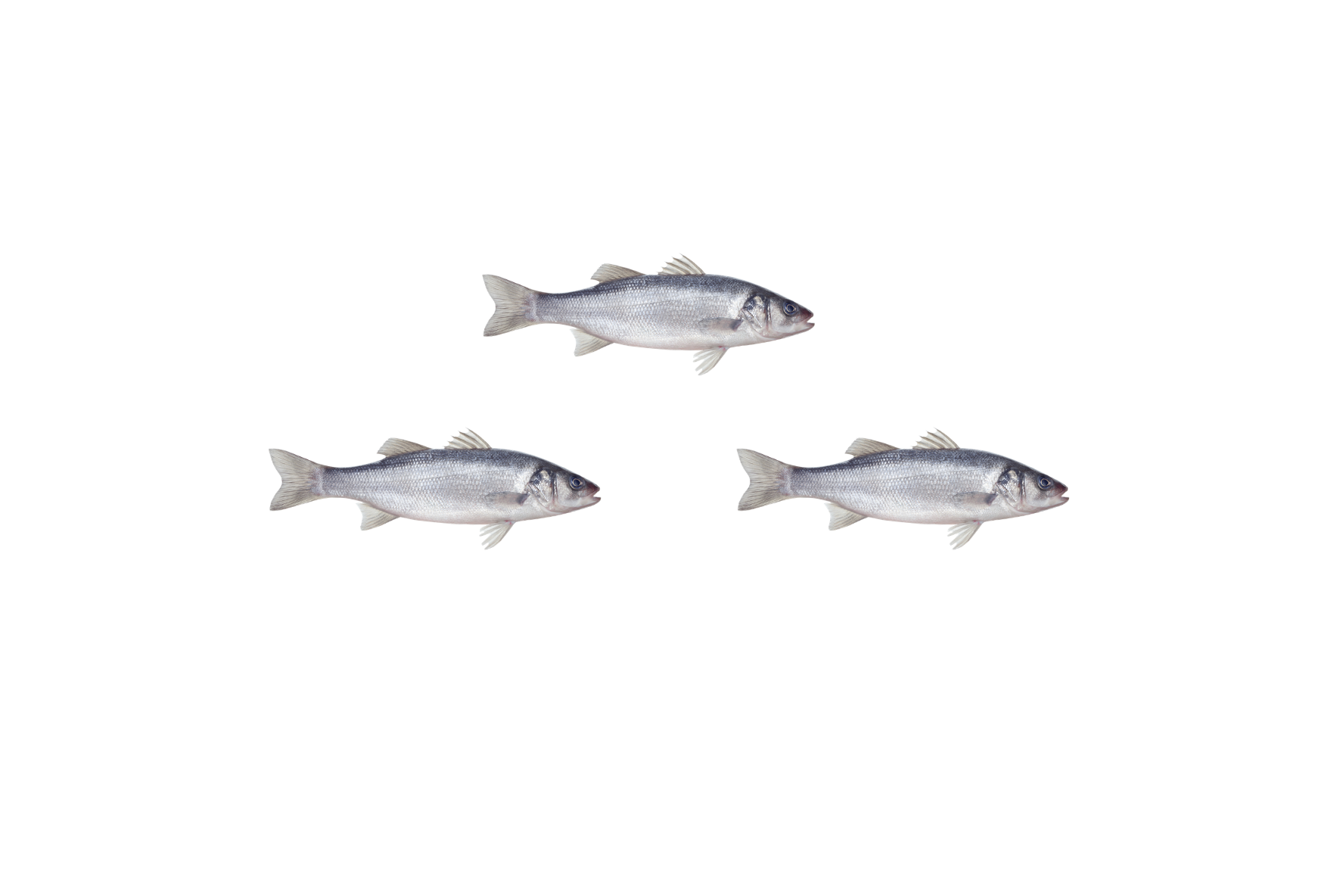 poisson produit en france 