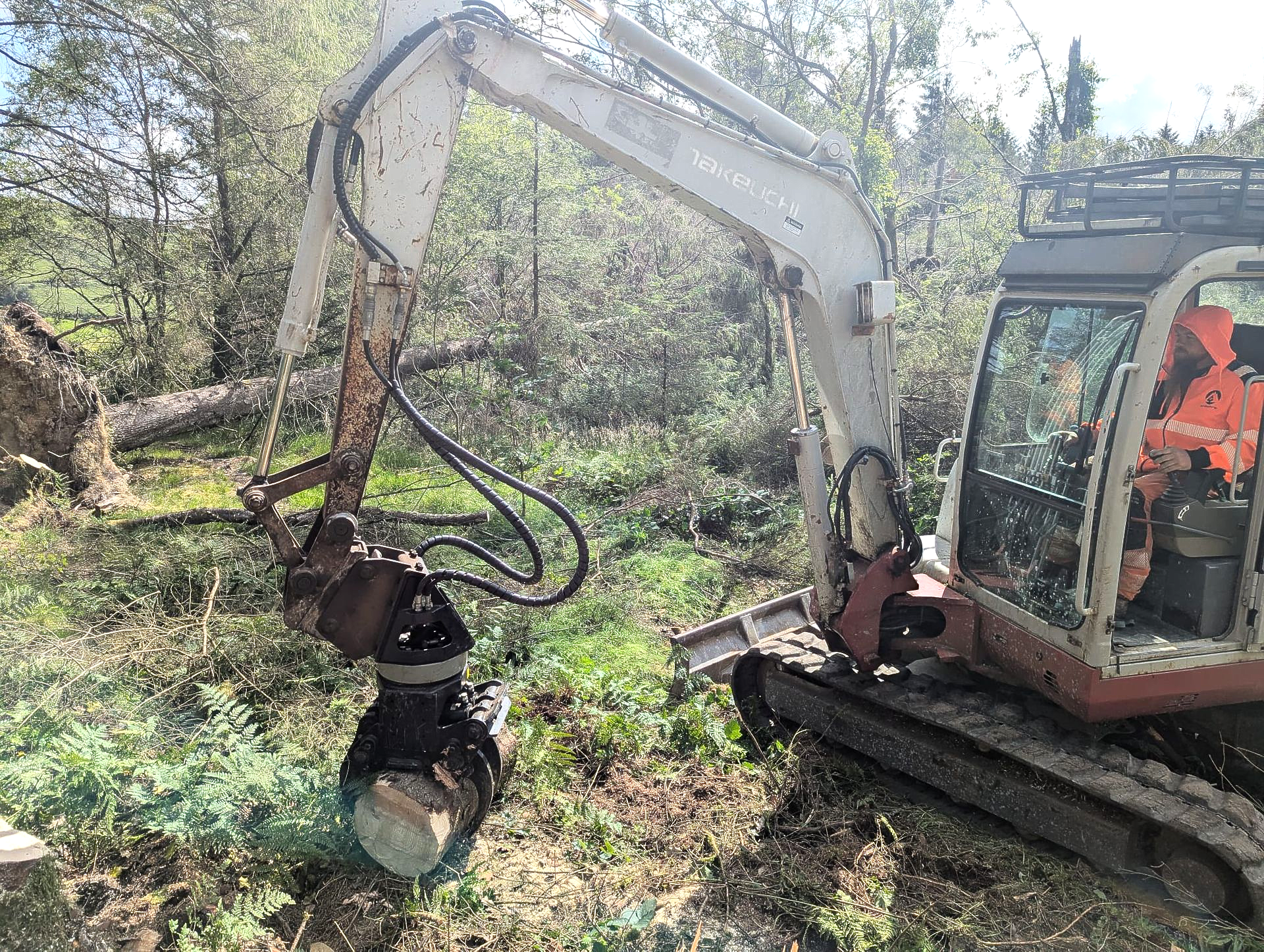 Excavator with logging grapple working in a wooded area, lifting brush near trees.