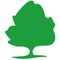Green tree silhouette with a rounded canopy and small trunk on a white background