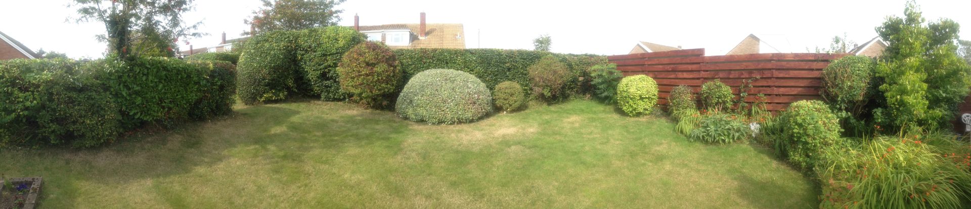 Wide grassy backyard with bushes, a round shrub, and a wooden fence under a cloudy sky