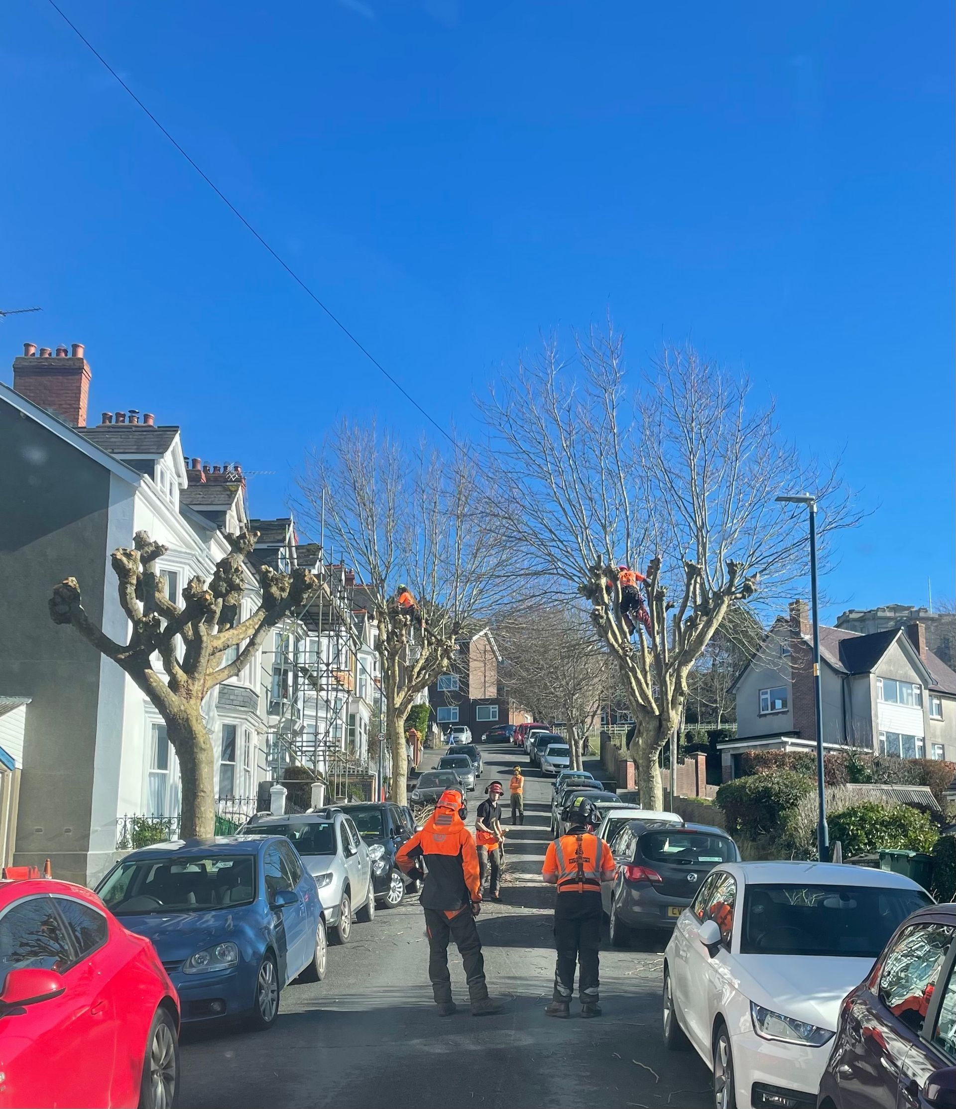 Why Choose Arbcore Tree Surgeons?