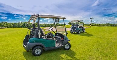 Golf Buggies — Bockman Batteries in Albury, NSW