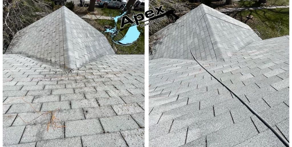 house power washing