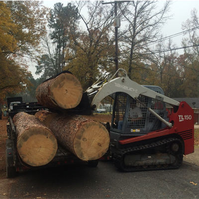 Red skid-steer loader carrying three large cut logs on a road lined with trees in autumn
