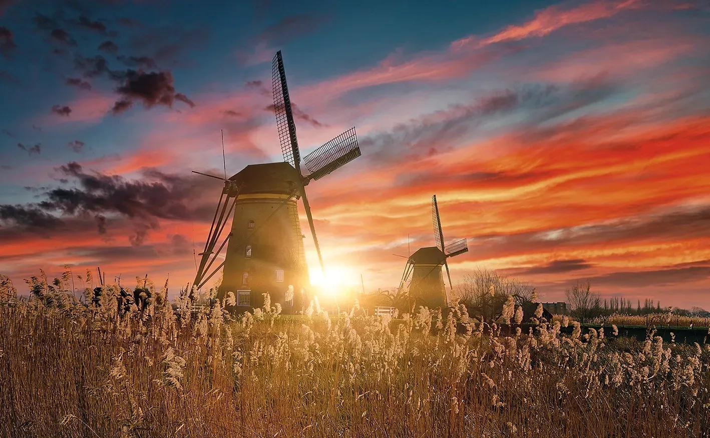 Windmills at sunset with vibrant orange and red sky over golden reeds.