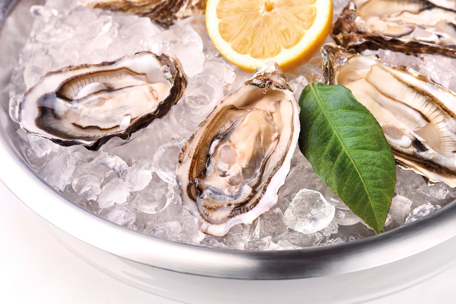 Oysters on ice in a silver bowl with a lemon wedge and green leaf.