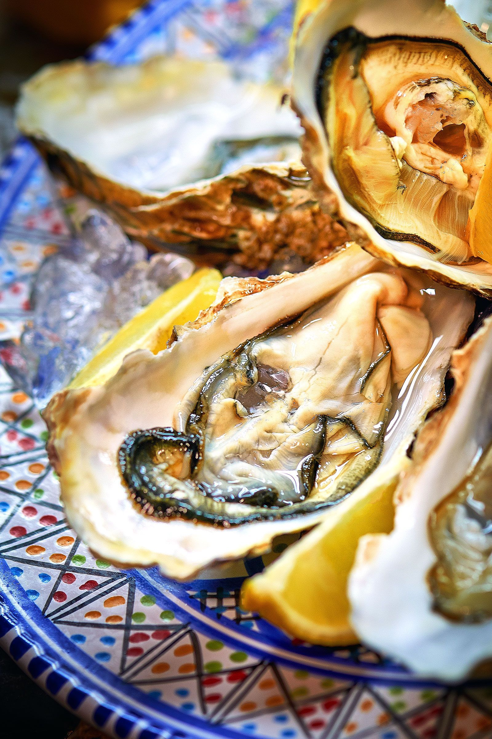 Oysters on a decorative plate with lemon wedges and ice.