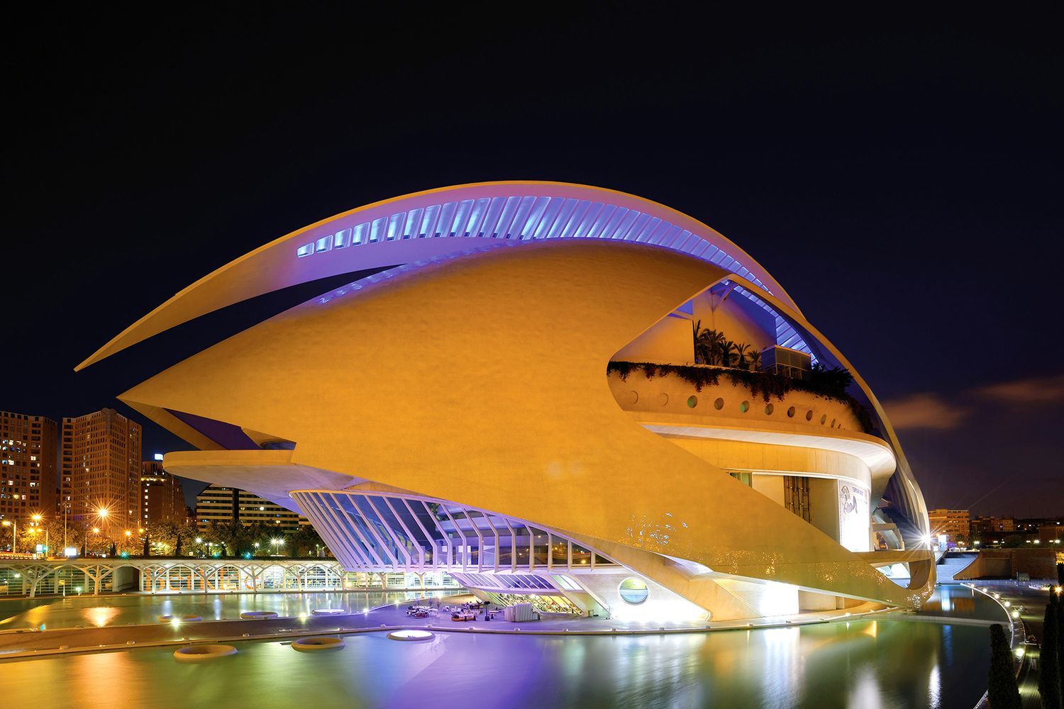 Night view of the City of Arts and Sciences in Valencia, Spain. Modern, white architectural structure over reflective water.