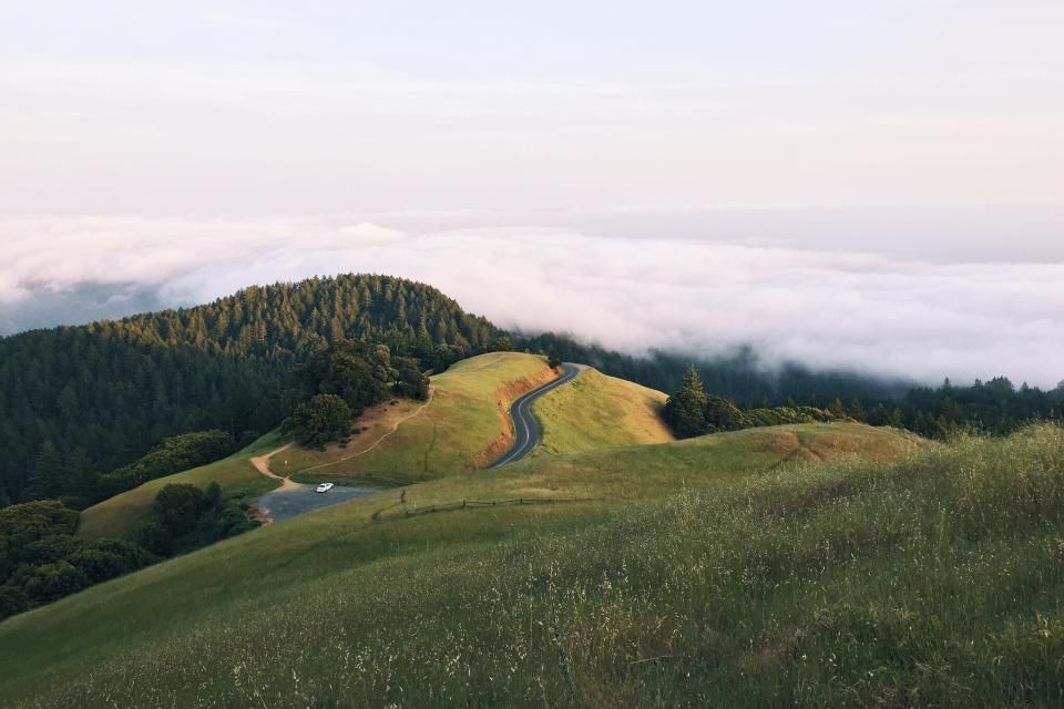 Maori Land Law