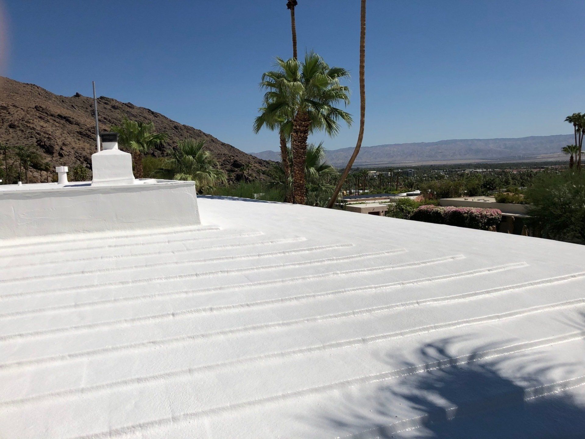 White flat roof with horizontal ridges, palm tree, and desert mountain background under a clear blue sky.