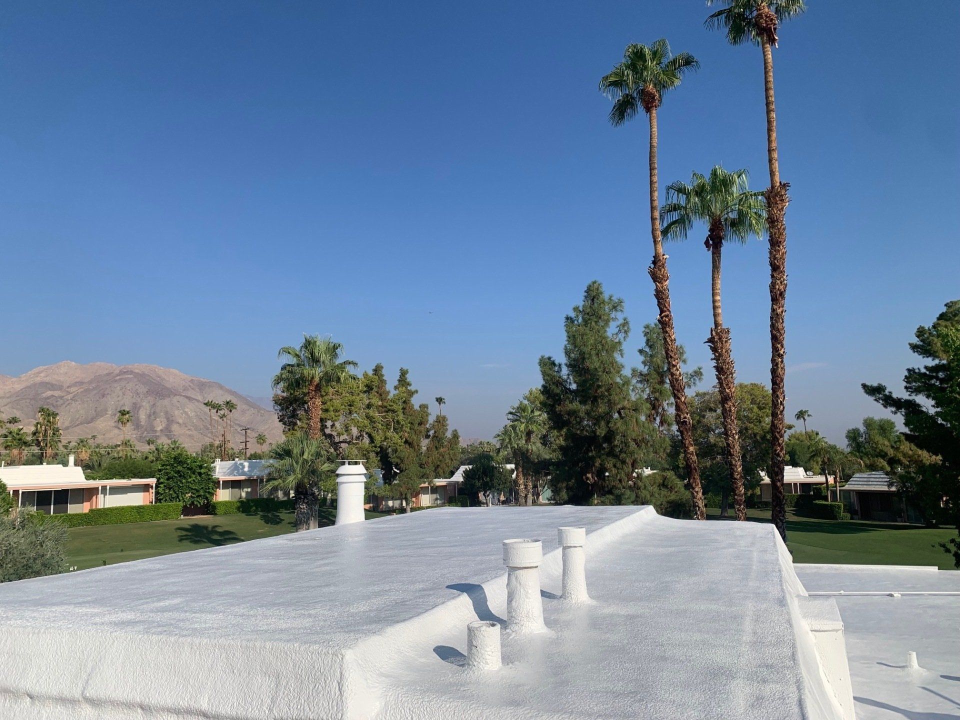 View of a white roof with three vent pipes, palm trees, and a mountain in the background under a blue sky.