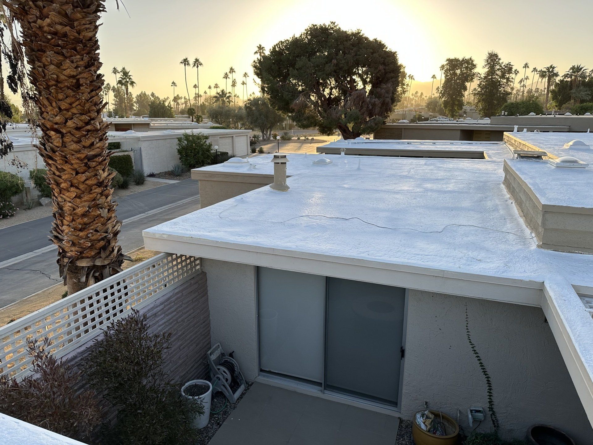 Overhead view of a building complex at sunrise. Flat roofs and palm trees are visible, with a bright sky in the background.