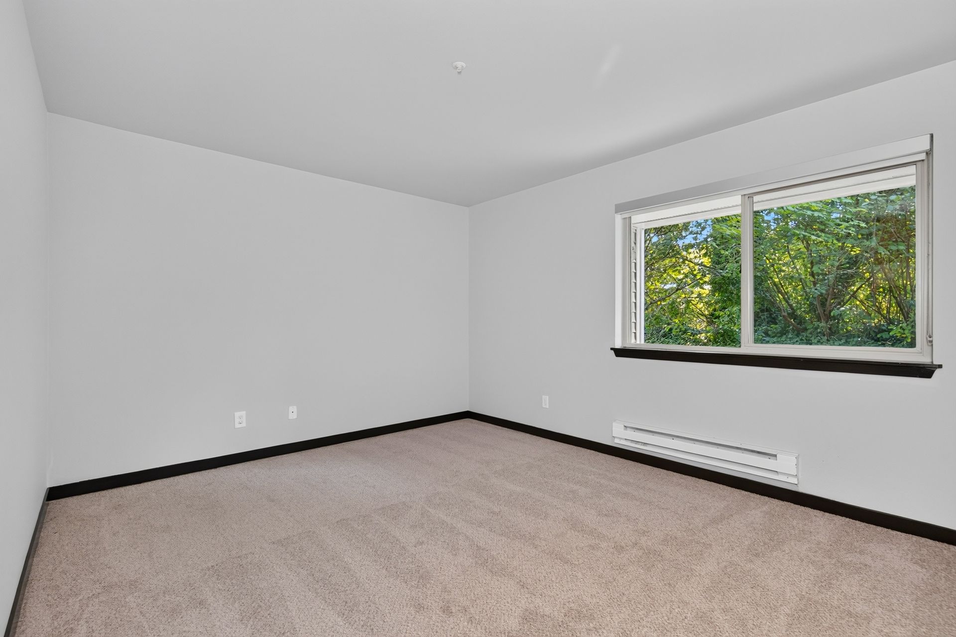 Empty white bedroom with beige carpet and a window overlooking trees
