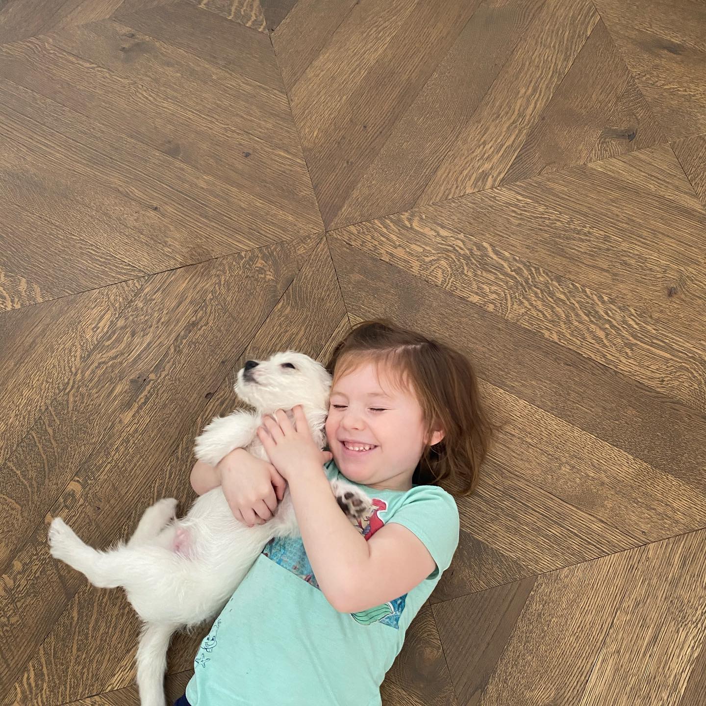 Child cuddling a small white puppy on a brown patterned floor