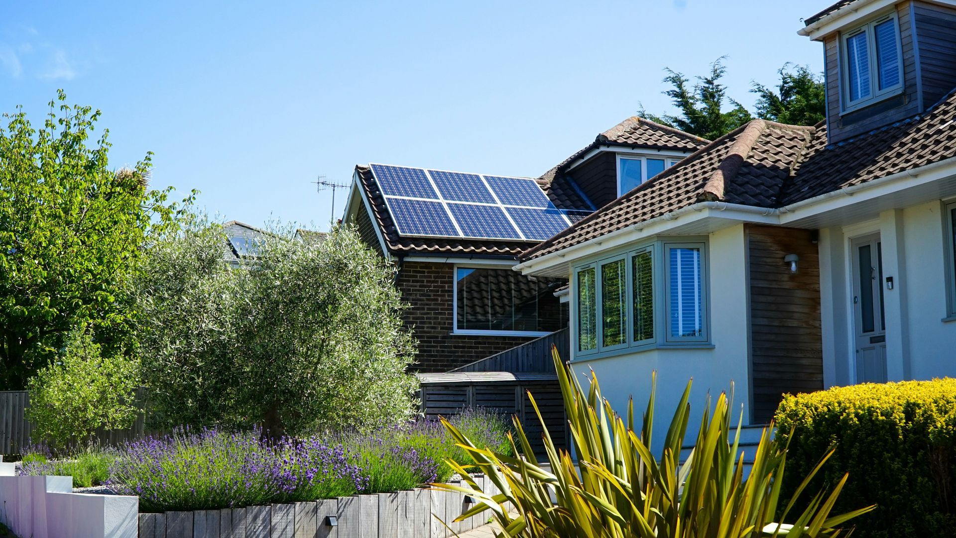 A row of houses with solar panels on a roof, featuring a green garden with a small olive tree in the foreground.