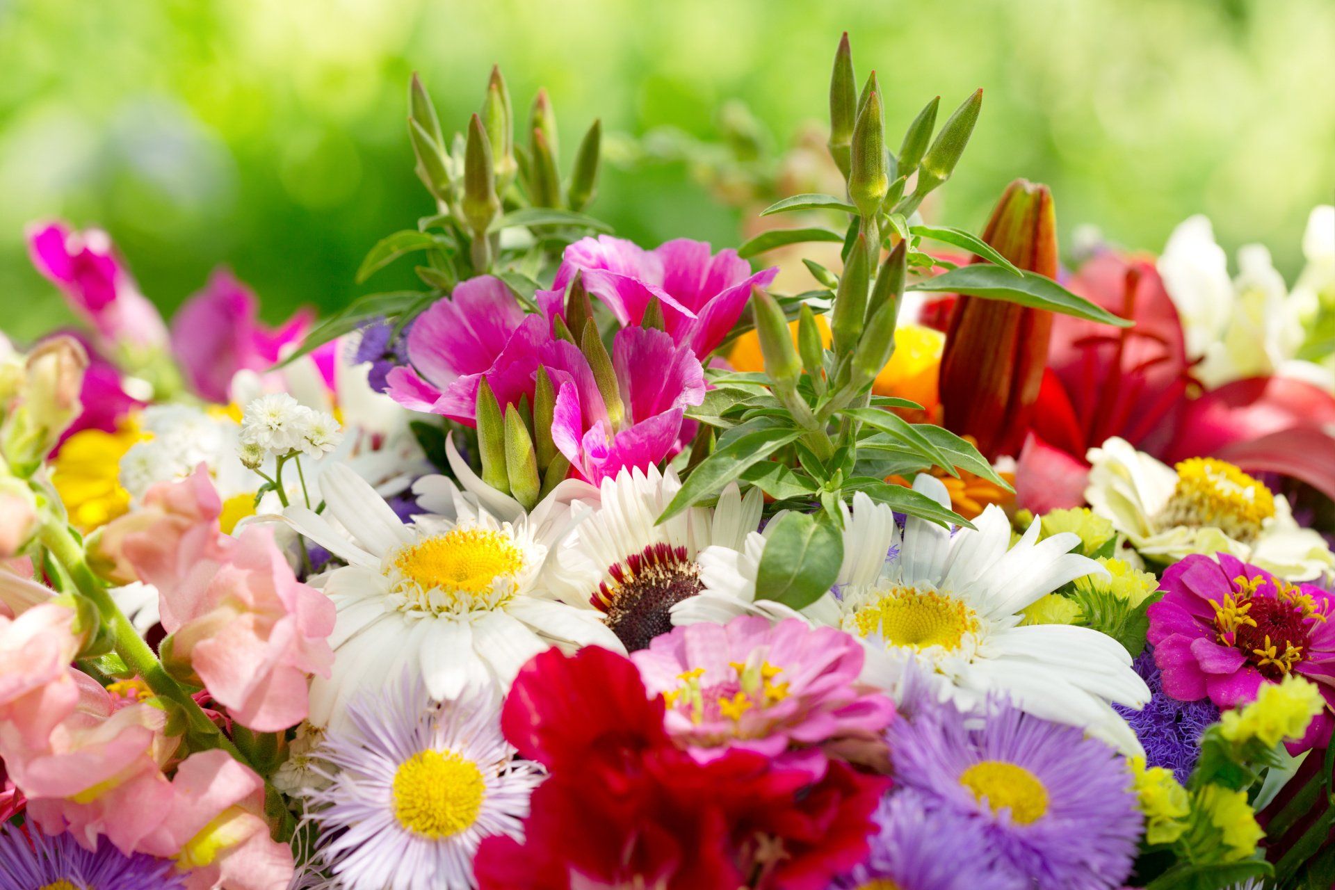 fiori e piante fresche