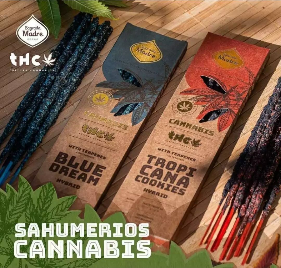 Paquetes de productos de cannabis y cogollos etiquetados como Blue Dream y Tropical Cookies sobre un fondo blanco.