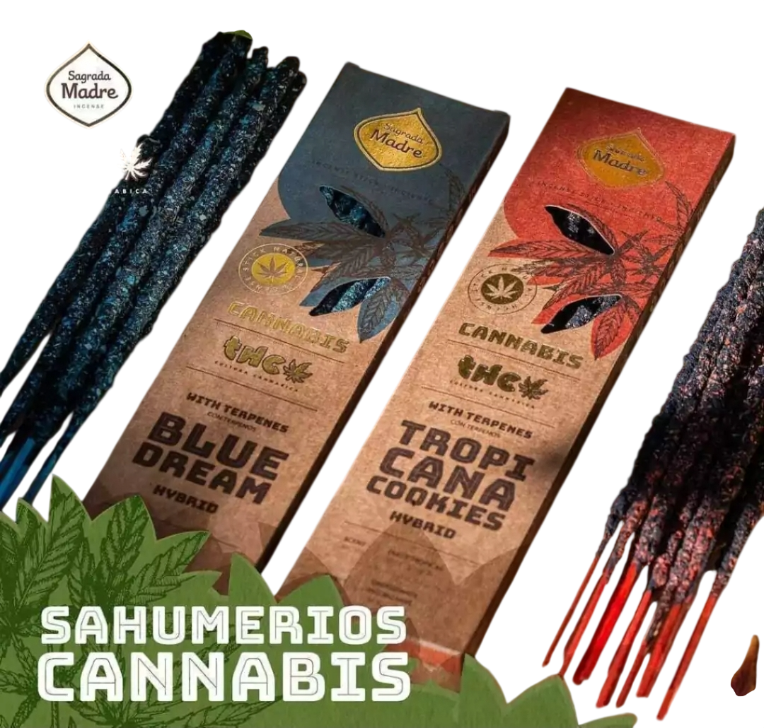 Paquetes de productos de cannabis y cogollos etiquetados como Blue Dream y Tropical Cookies sobre un fondo blanco.