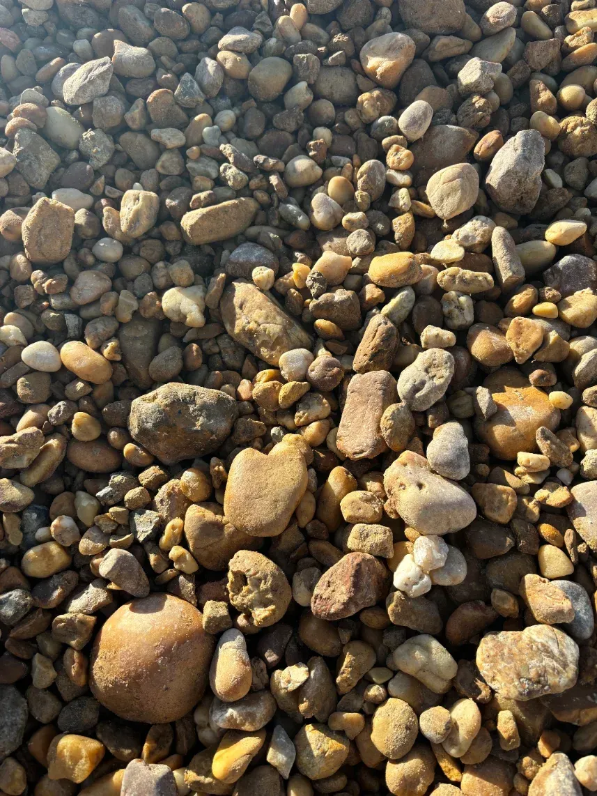 Sunlit pebbles and small rocks filling the frame, in gray, brown, and tan tones