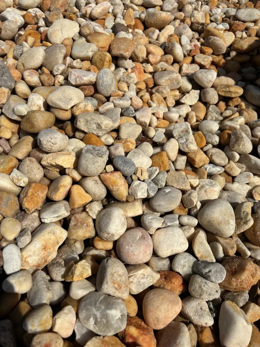 Close-up of assorted smooth pebbles and rocks in gray, tan, and brown tones
