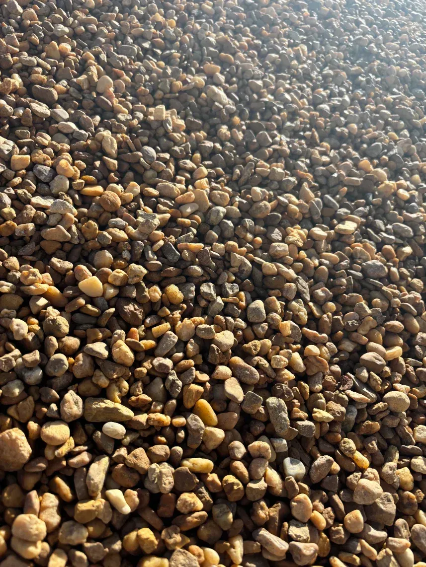 Close-up of a pebble-covered ground in warm sunlight, with small brown and tan stones.