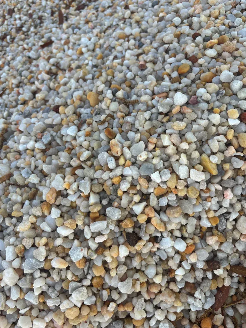 Close-up of small gray, white, and tan pebbles covering the ground