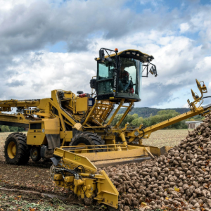 Yellow agricultural machine loading root crops into a pile in a field under a cloudy sky