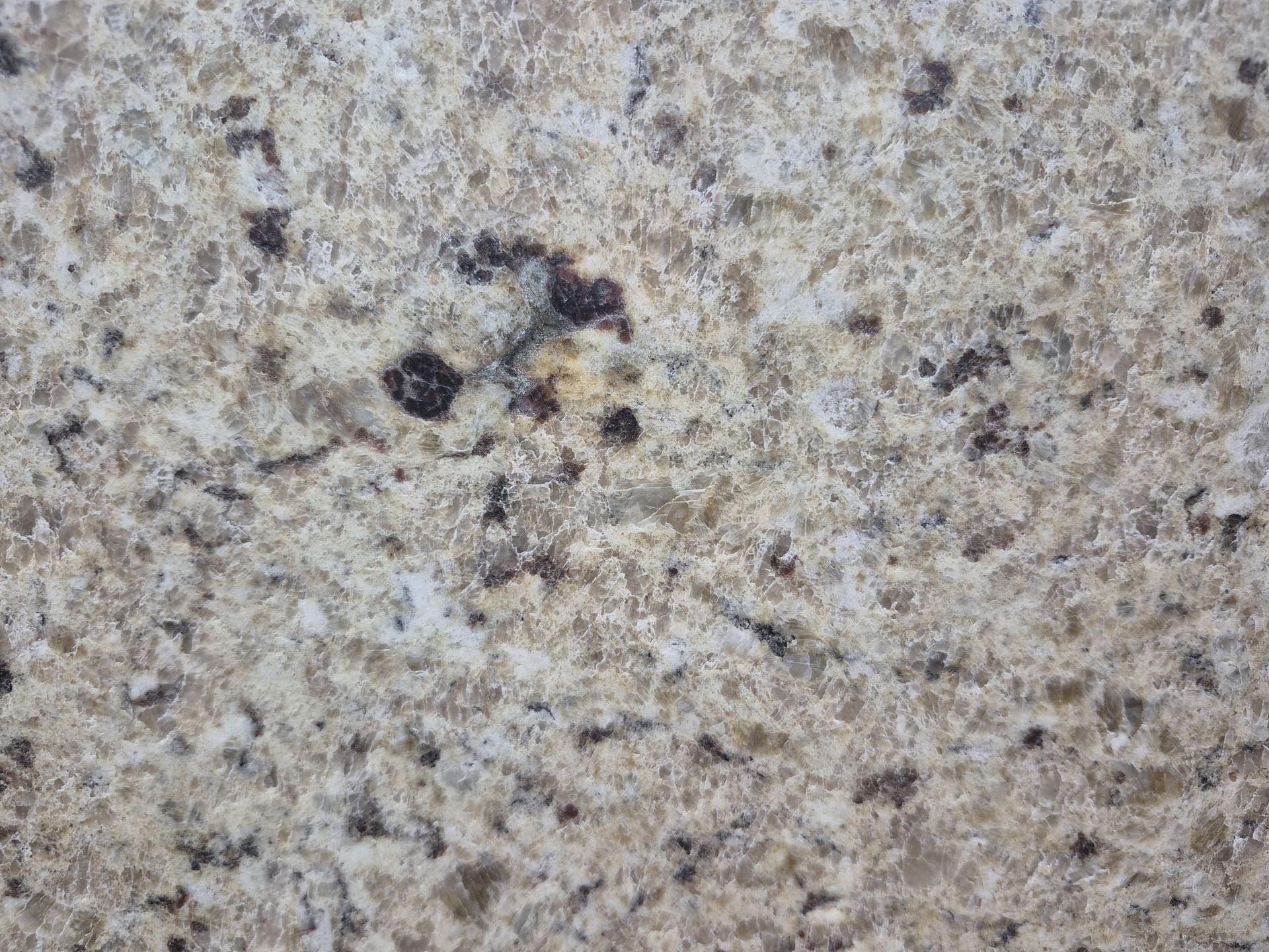 Giallo Ornamental