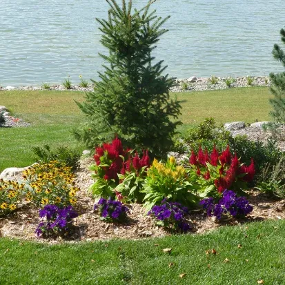 Colorful flower bed installation in Loretto MN enhancing residential landscapes with seasonal blooms