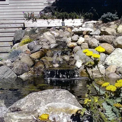 Custom backyard pond design in Loretto MN enhancing outdoor spaces with natural looking water features