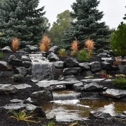 Decorative water garden installation in Loretto MN improving curb appeal with elegant aquatic landscape features