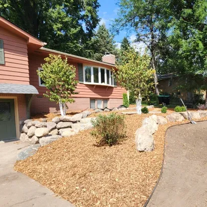 Landscape tree plant installation in Loretto MN improving outdoor spaces with structured tree placement
4
