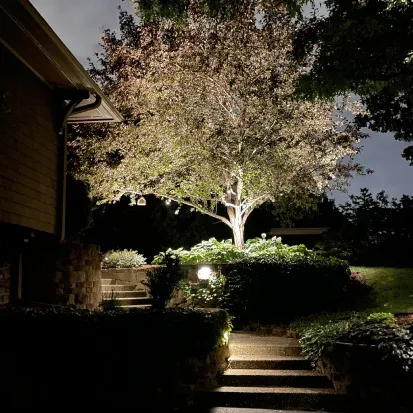 Low voltage landscape lighting in Loretto MN providing energy efficient illumination for gardens and pathways