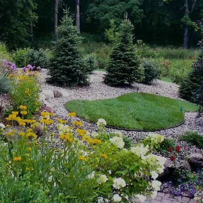New yard tree installation in Loretto MN creating greener outdoor environments with healthy planted trees