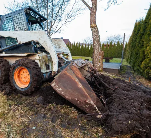 Land clearing services in Loretto MN removing brush trees and debris for new construction or landscaping projects