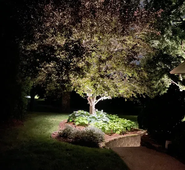 Landscape lighting installation in Loretto MN enhancing outdoor spaces with safe and attractive nighttime illumination