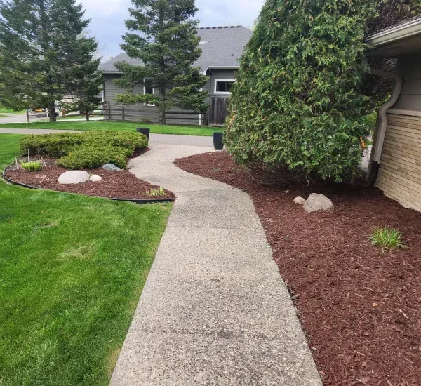 Mulch installation services in Loretto MN improving soil moisture retention and enhancing landscape appearance