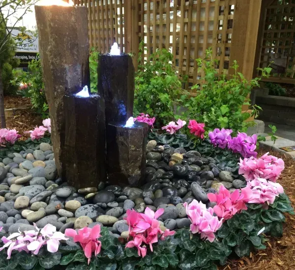 Seasonal annual flower planting in Loretto MN adding vibrant color and curb appeal to outdoor landscapes