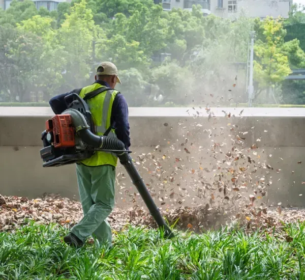 Seasonal yard cleanup services in Loretto MN removing leaves debris and overgrowth from outdoor spaces